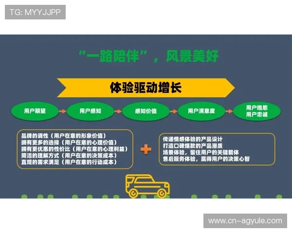 全面解析ag现金网电投网的优势与用户体验提升策略